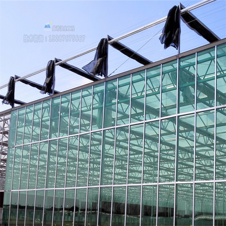 PC版玻璃連棟陽光板溫室大棚種植蔬菜水果市場昌越溫室工程
